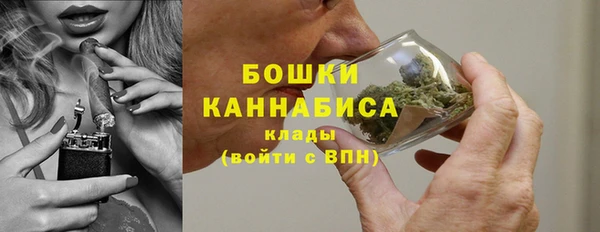 PSILOCYBIN Абдулино