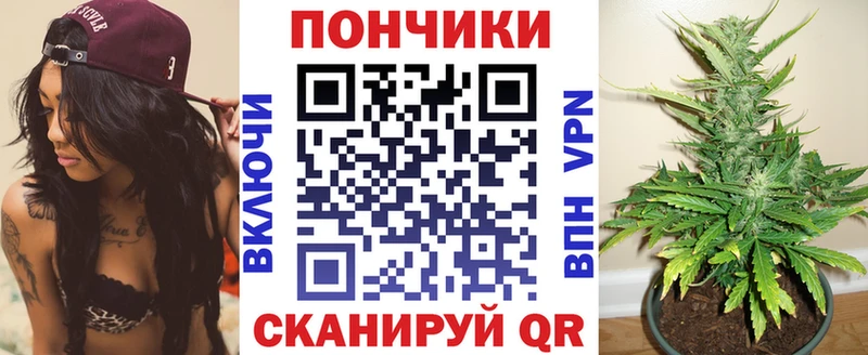 Бошки марихуана индика  hydra ONION  даркнет телеграм  Азов 